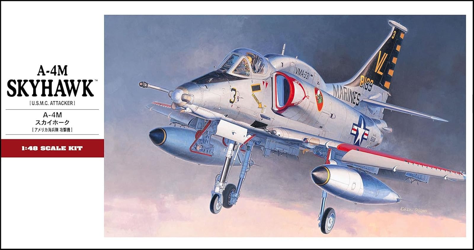Amazon.com: Hasegawa HAPT33 1:48 Scale A-4M Skyhawk Model Building
